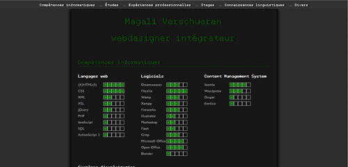 curriculum vitae en ligne